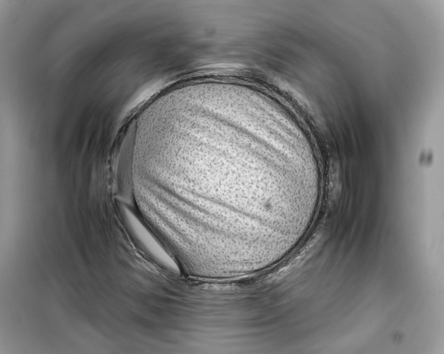 X0000099291354200805231311