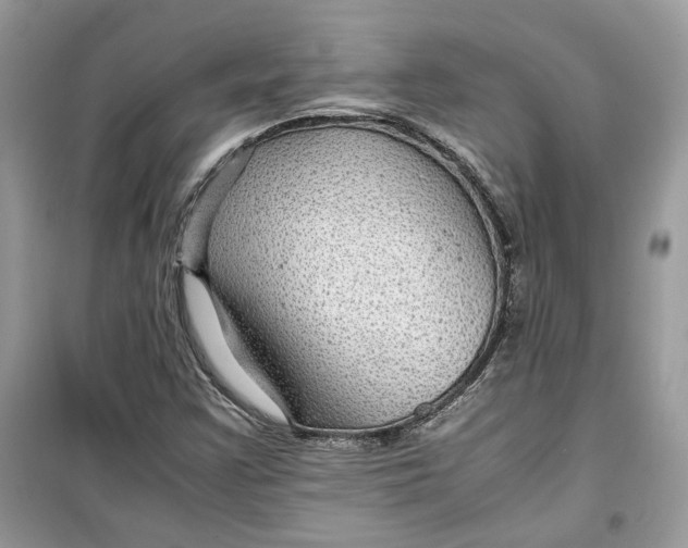 X0000099291355200805231311