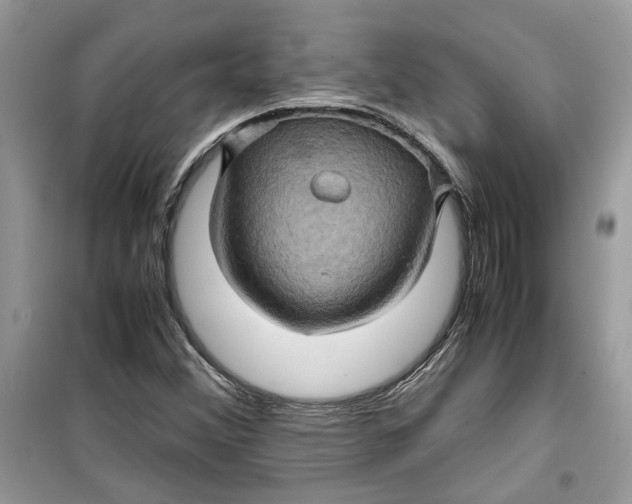 X0000099291356200805231311