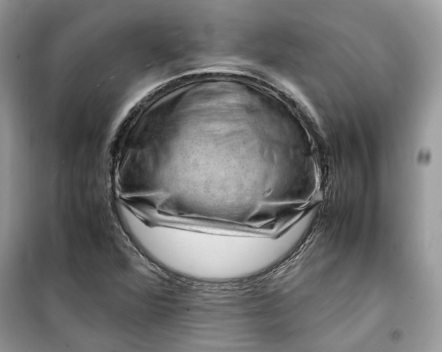 X0000099291360200805231311