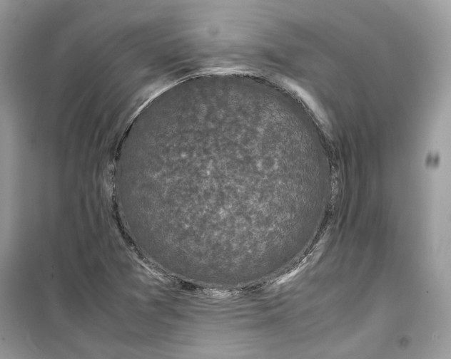 X0000099291361200805231311