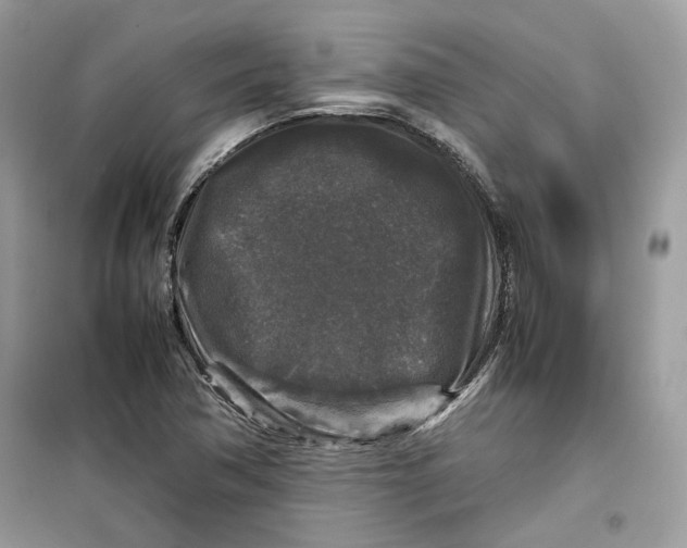 X0000099291362200805231311