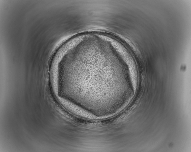 X0000099291363200805231311