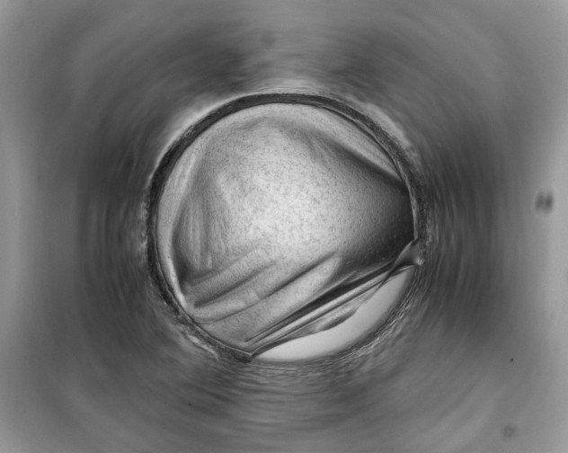 X0000099291364200805231311