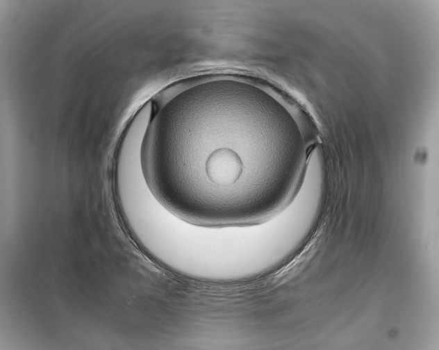 X0000099291365200805231311