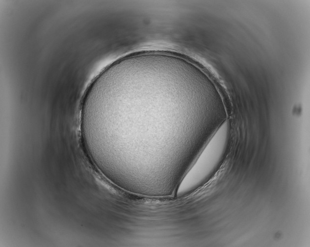 X0000099291366200805231311