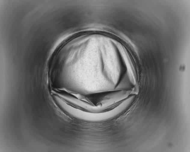 X0000099291368200805231311