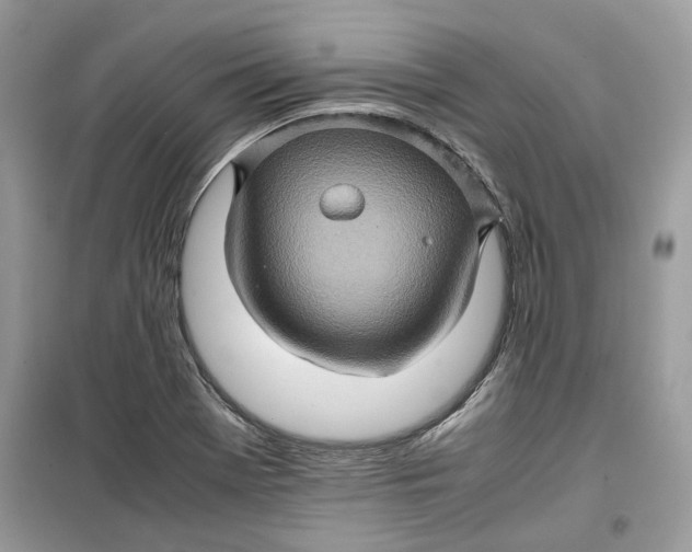 X0000099291369200805231311