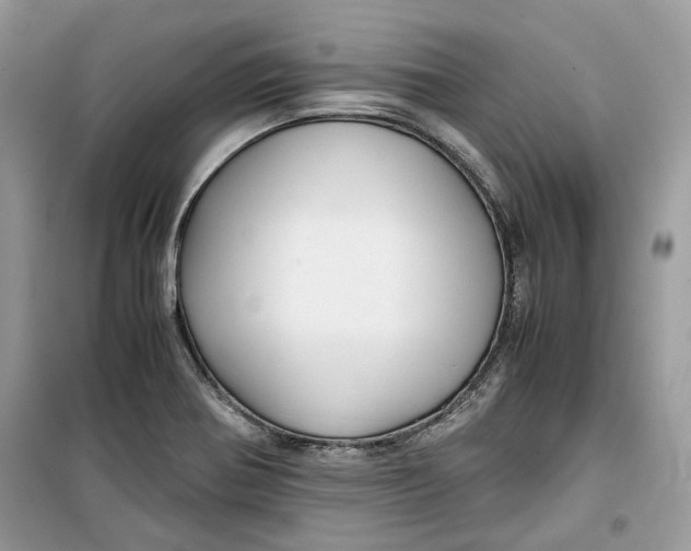 X0000099291370200805231311