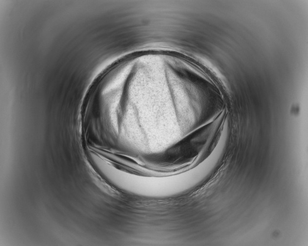 X0000099291372200805231311