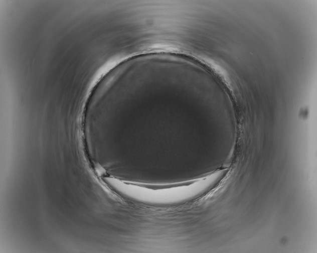 X0000099291373200805231311