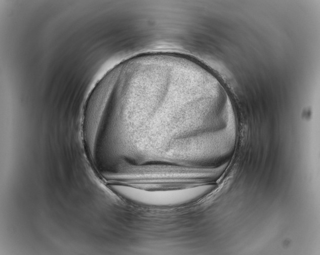 X0000099291374200805231311