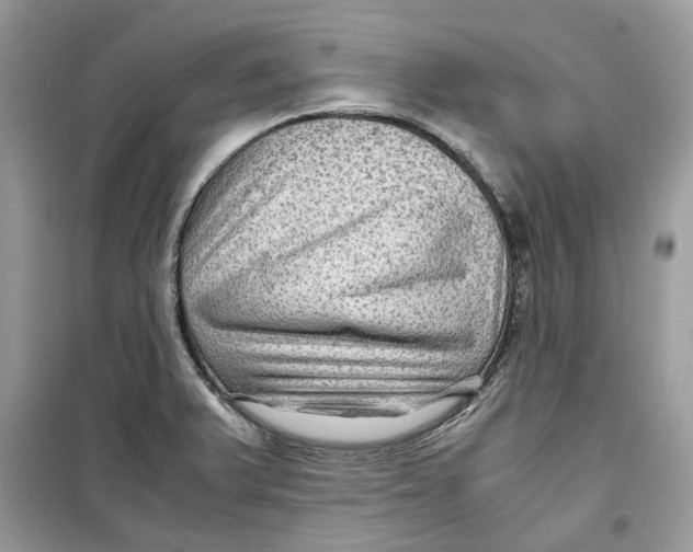 X0000099291375200805231311