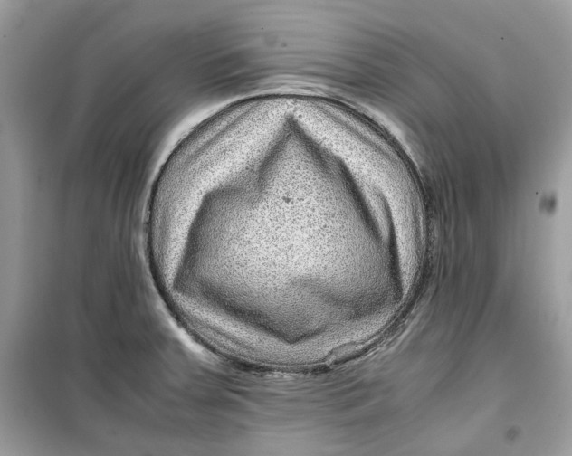 X0000099291379200805231311