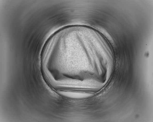 X0000099291380200805231311