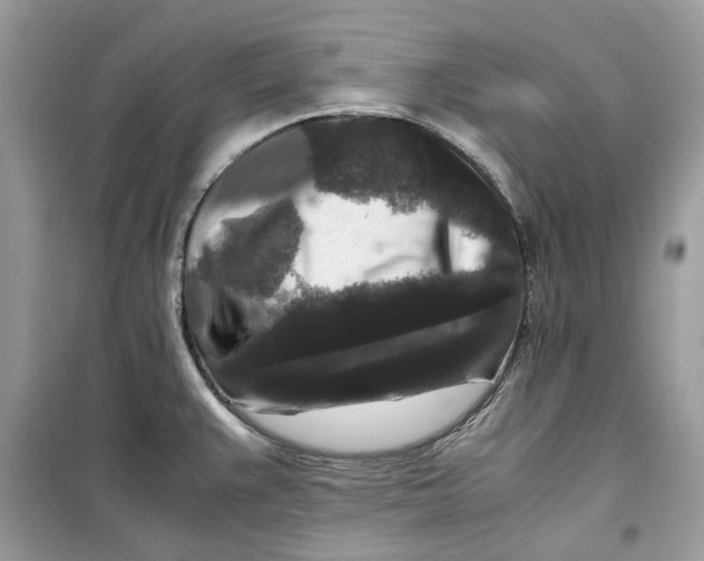 X0000099291383200805231311