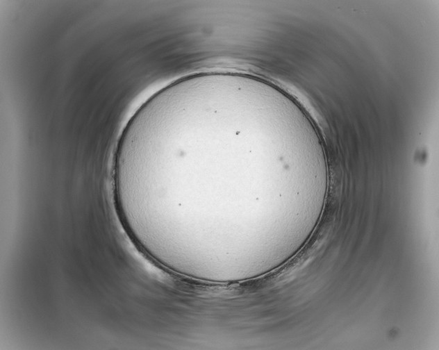 X0000099291387200805231311