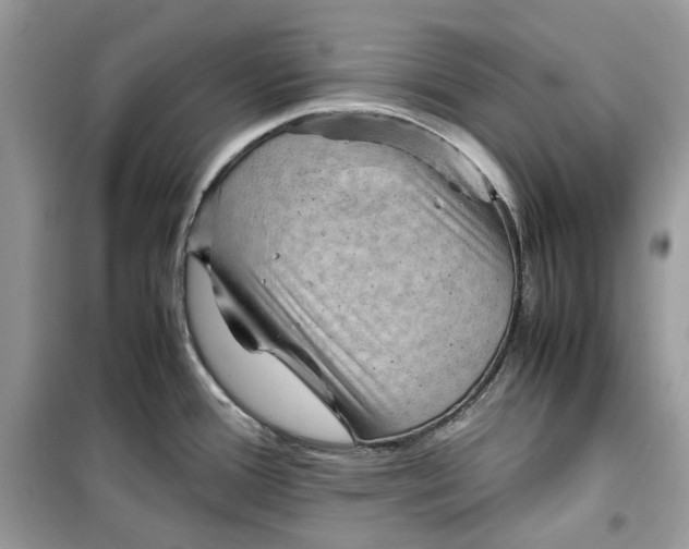 X0000099291388200805231311