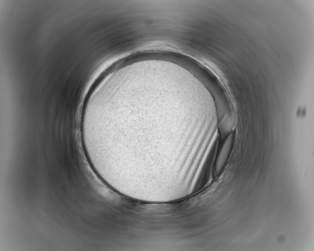 X0000099291392200805231311