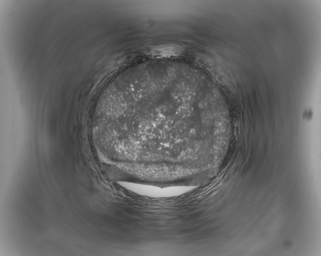 X0000099291393200805231310