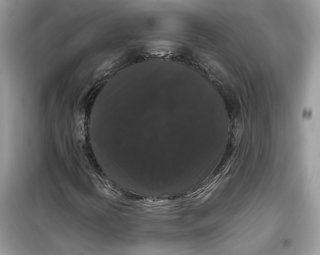 X0000099291394200805231310