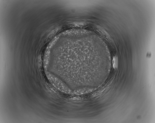 X0000099291395200805231310