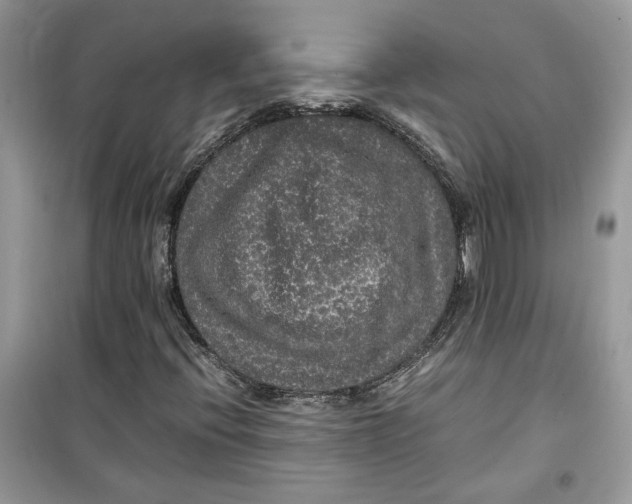 X0000099291396200805231310