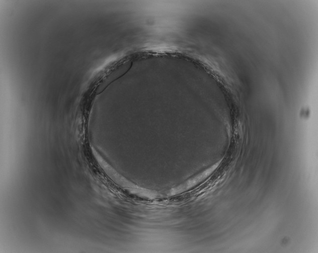 X0000099291398200805231310