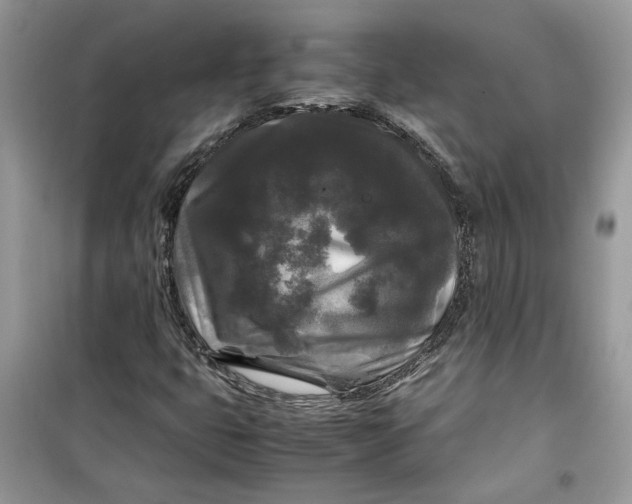 X0000099291399200805231310