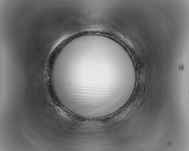 X0000099291400200805231310