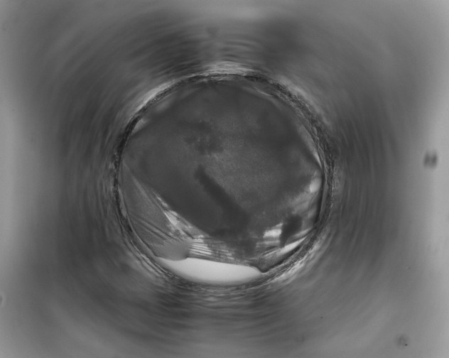 X0000099291401200805231310