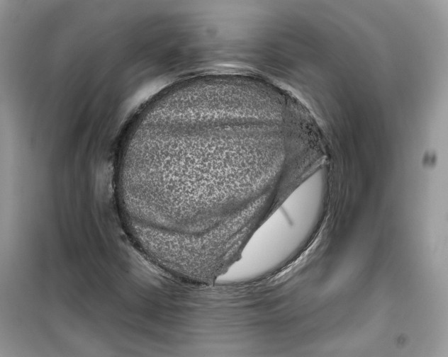 X0000099291402200805231310