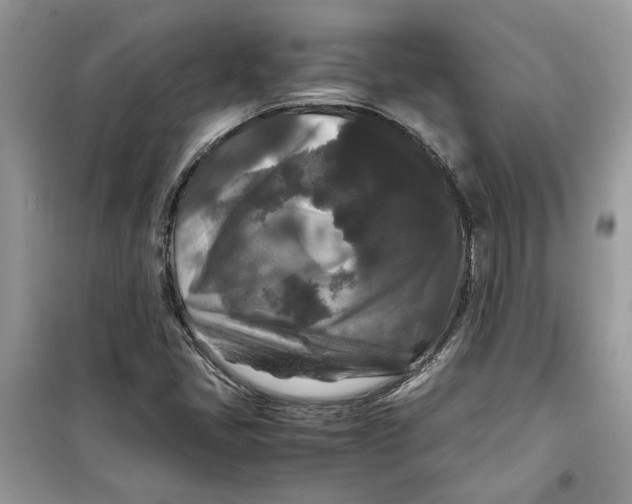 X0000099291405200805231310