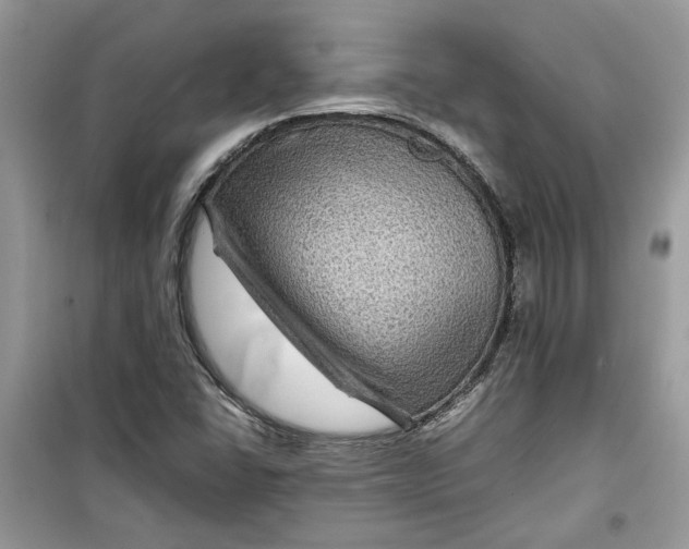 X0000099291406200805231310