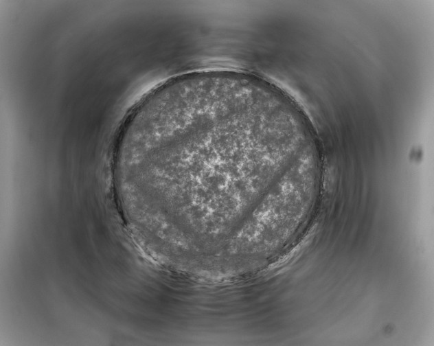 X0000099291407200805231310