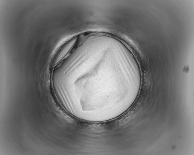 X0000099291408200805231310