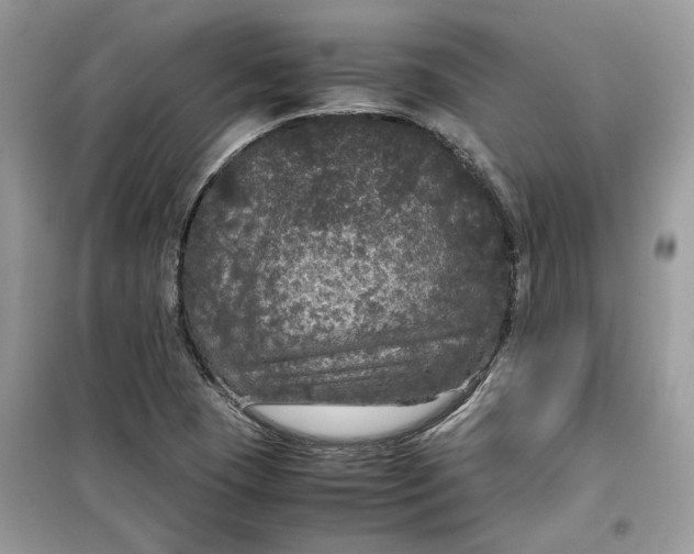 X0000099291409200805231310