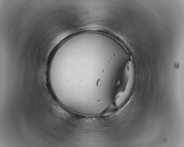 X0000099291410200805231310