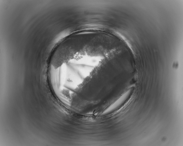 X0000099291411200805231310