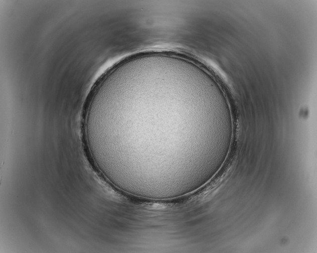 X0000099291412200805231310