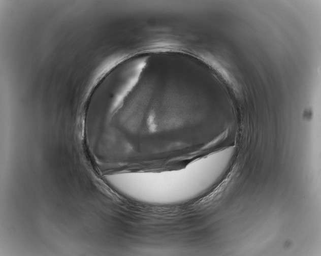 X0000099291413200805231310