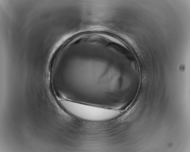 X0000099291414200805231310