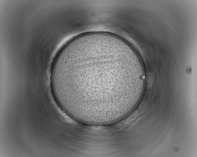 X0000099291416200805231310