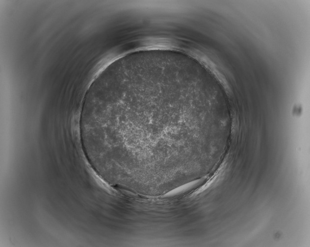 X0000099291417200805231310