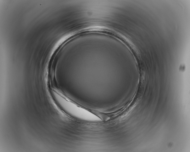 X0000099291418200805231311