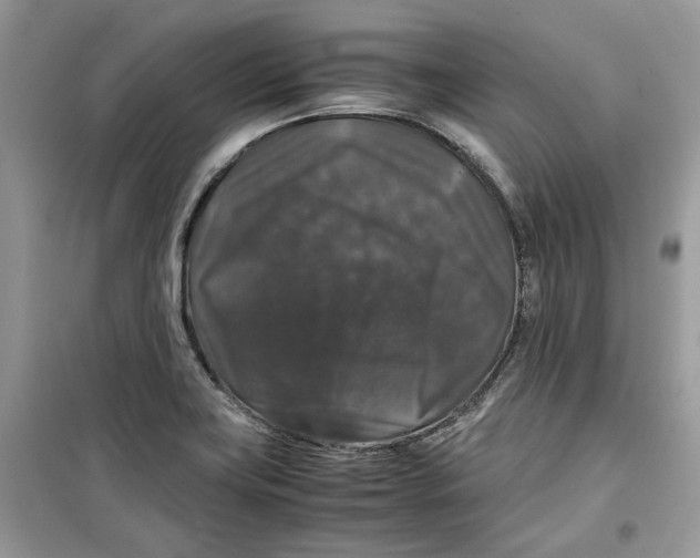 X0000099291419200805231311