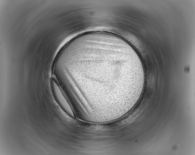 X0000099291420200805231311