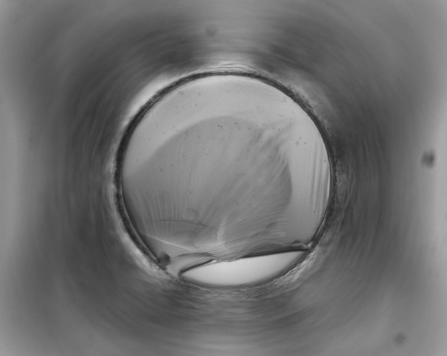 X0000099291422200805231311