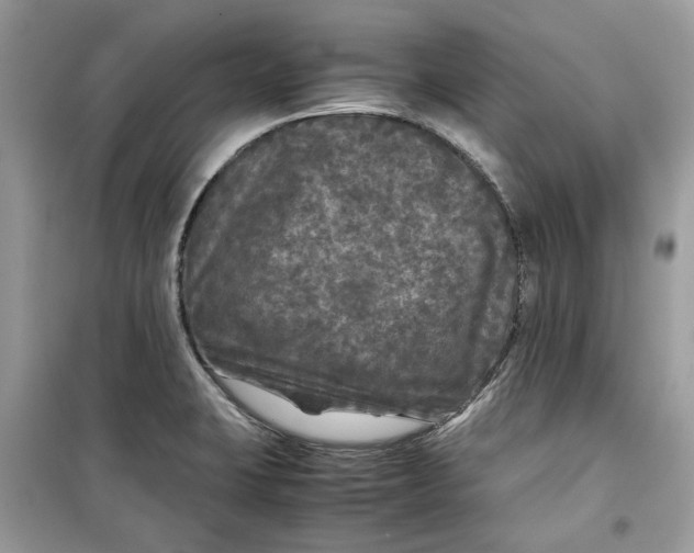 X0000099291423200805231311