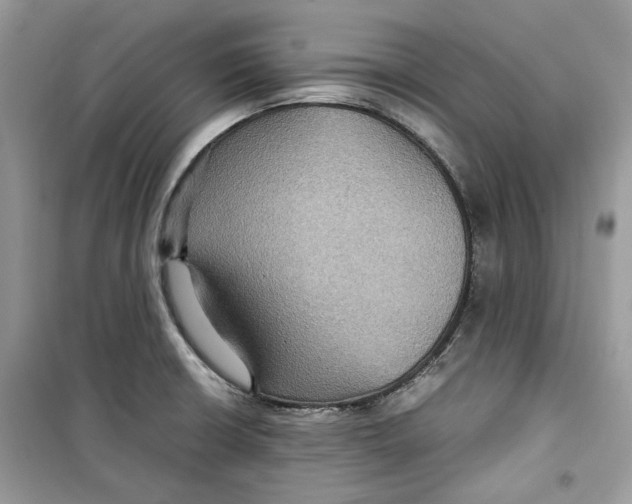 X0000099291426200805231311